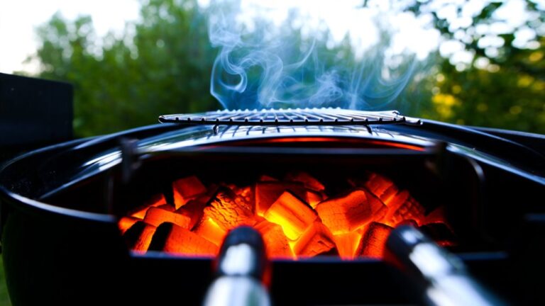 charcoal combustion heats food